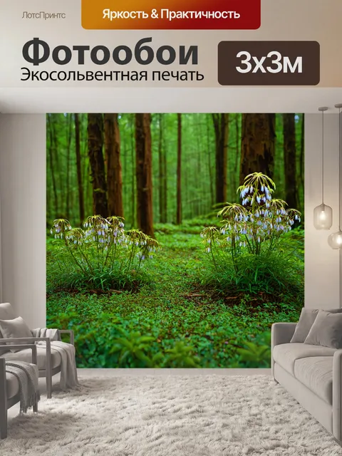 Фотообои лес с редкими растениями и уникальными цветами, привлекающими внимание