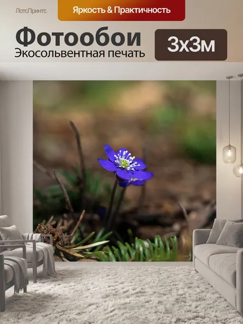 Фотообои Природа