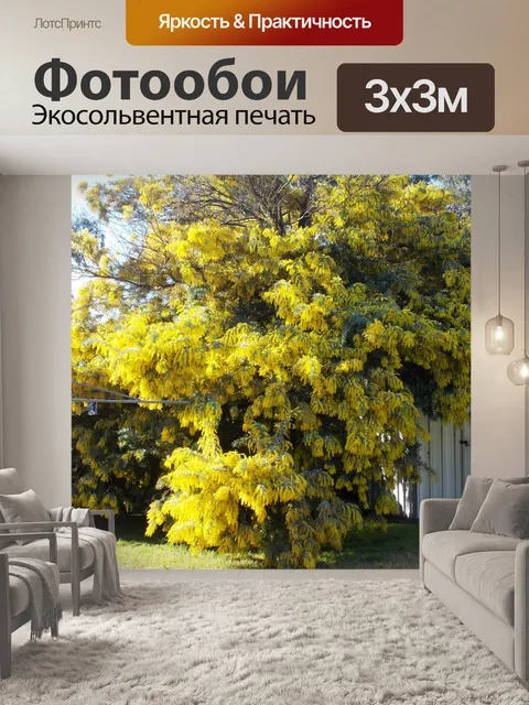 Фотообои Плетеные деревья