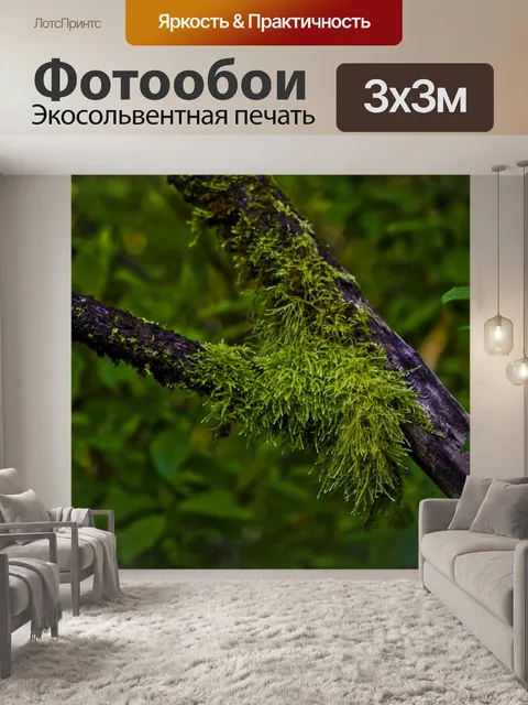Фотообои Мосс в Крук