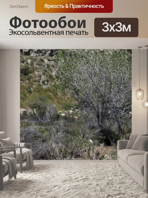 Фотообои Пустынная кисть