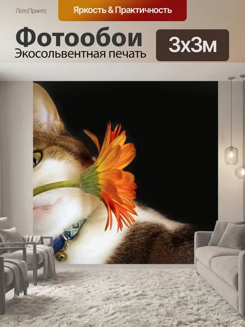Фотообои Кошка
