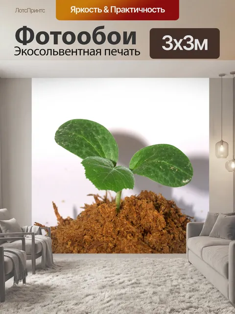 Фотообои Молодое дерево