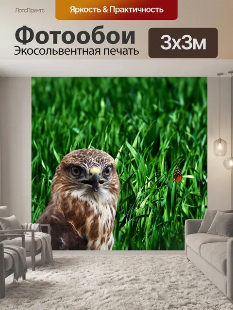 Фотообои Птица