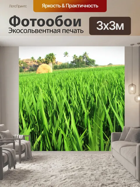 Фотообои Пэдди