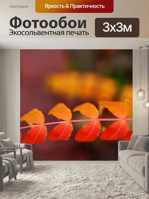 Фотообои Листья