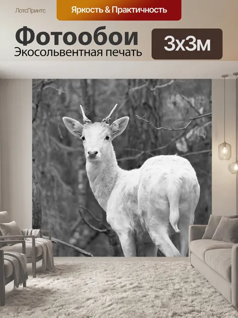 Фотообои Белый олень