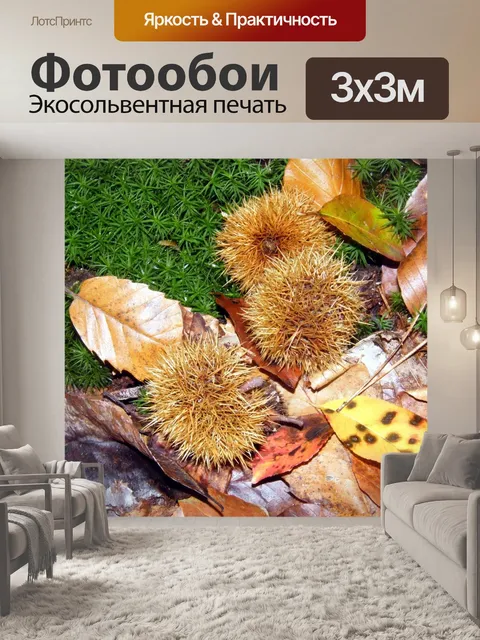 Фотообои Марони