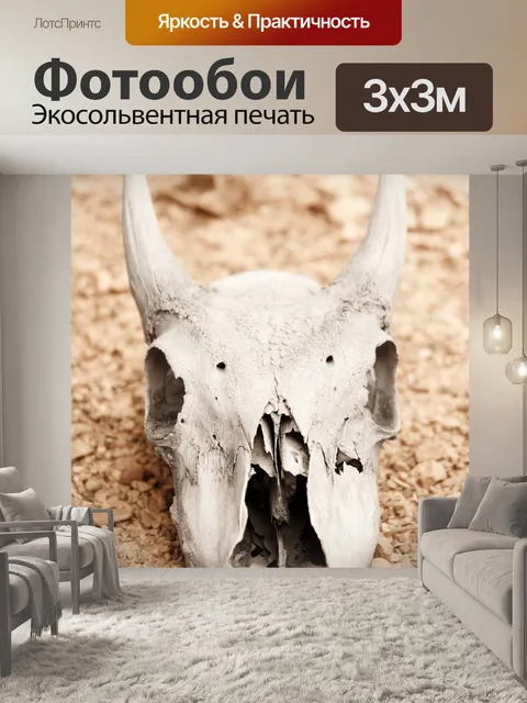 Фотообои череп животного