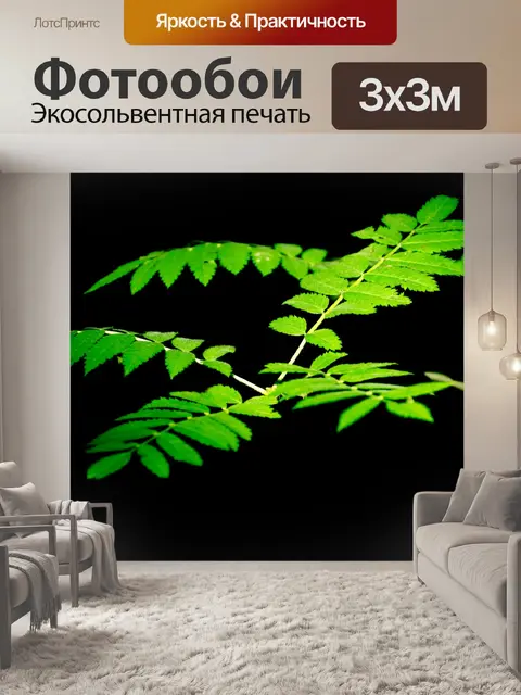 Фотообои Зеленые листья