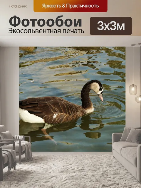 Фотообои Ловля бурого гуся в озере