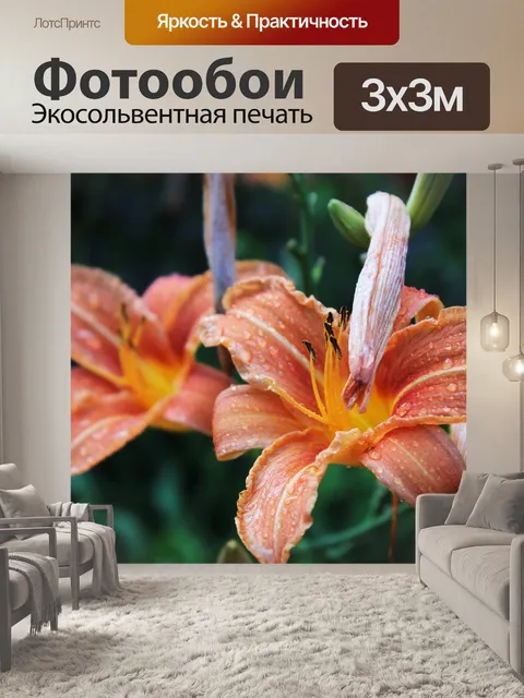 Фотообои Лилия