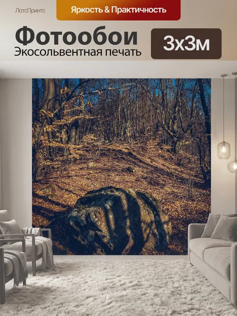 Фотообои Лес