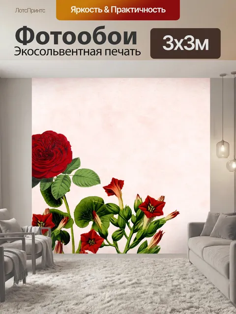 Фотообои Красная роза фон