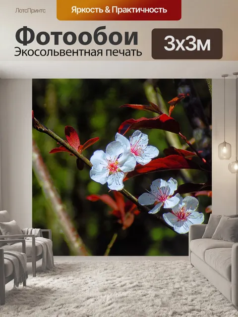 Фотообои Природа