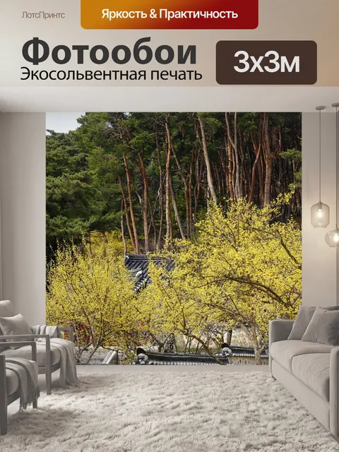 Фотообои Сливы