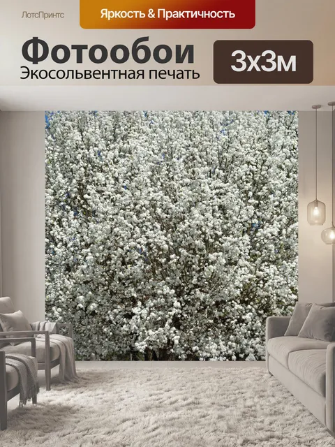 Фотообои Цветы дерева