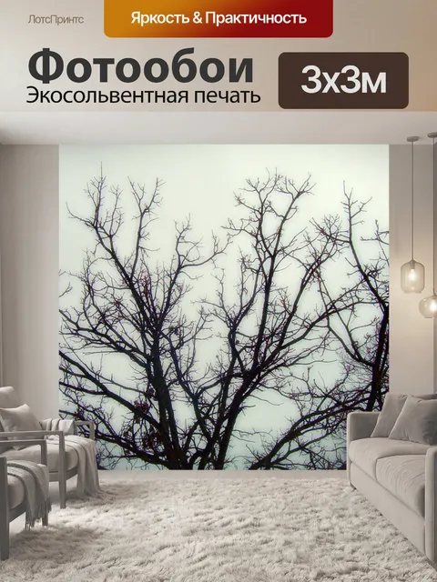 Фотообои Ветви деревьев