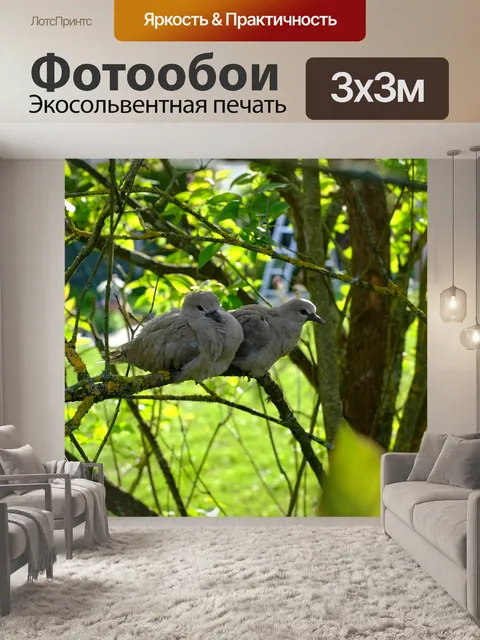 Фотообои Природа