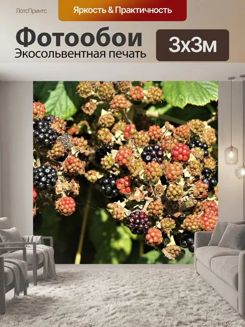 Фотообои Ягоды