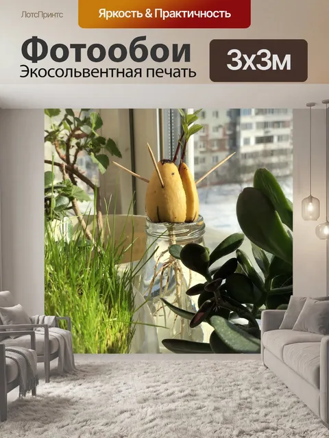 Фотообои Авокадо