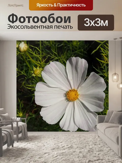 Фотообои Белый
