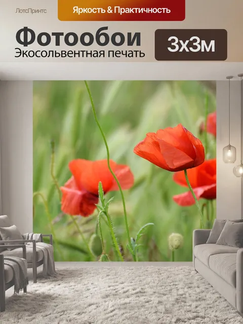 Фотообои Красные маки на ветру