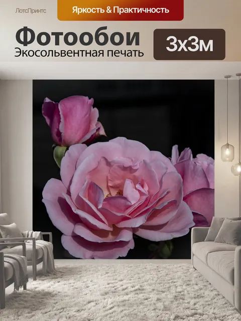 Фотообои Розовые розы
