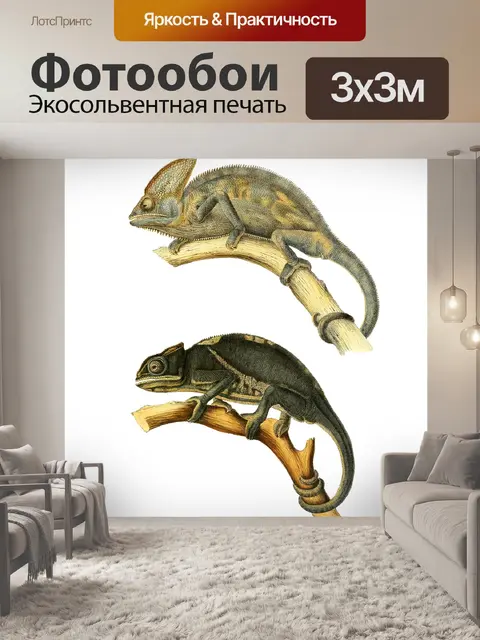 Фотообои Хамелеон старинные художественные иллюст
