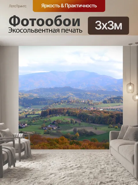 Фотообои Черный лес