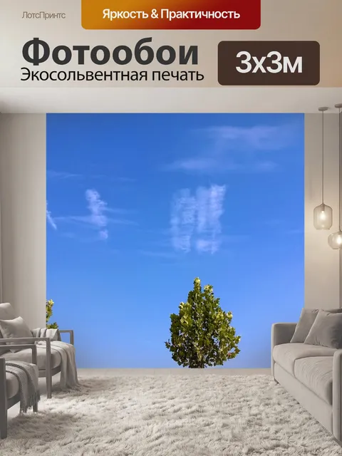 Фотообои Небо