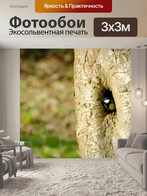 Фотообои Птица, дерево и природа