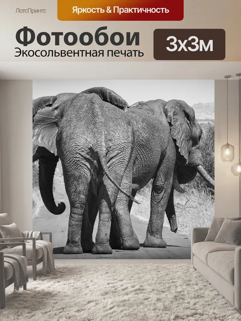 Фотообои Слон