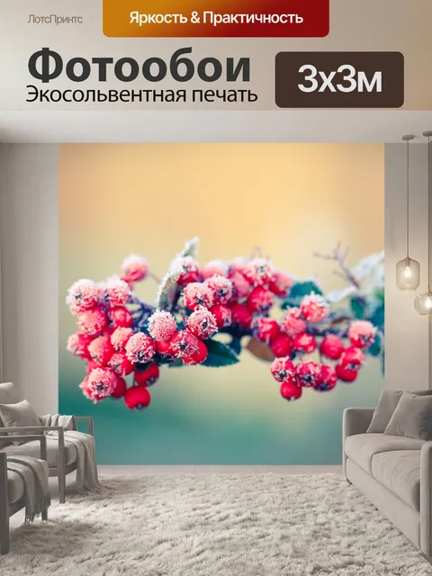Фотообои Иней на красных ягодах