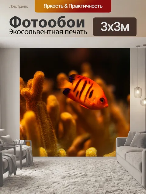 Фотообои Рыбы
