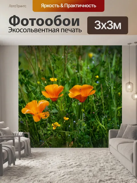 Фотообои Цветок, ночной колпак, золотой мак