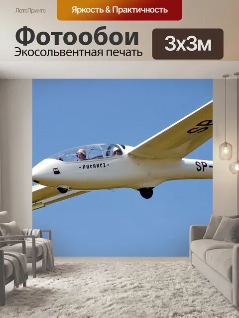 Фотообои Планер