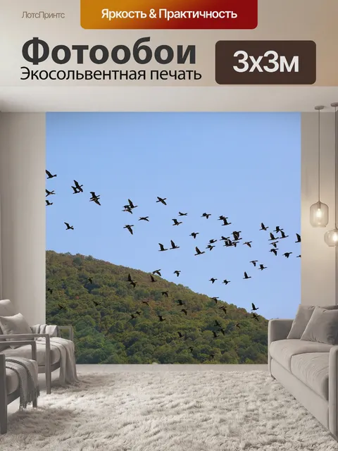 Фотообои Птицы