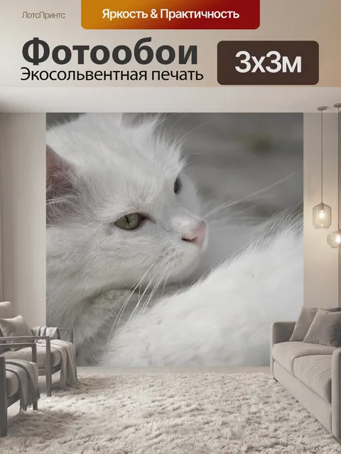 Фотообои Белая кошка