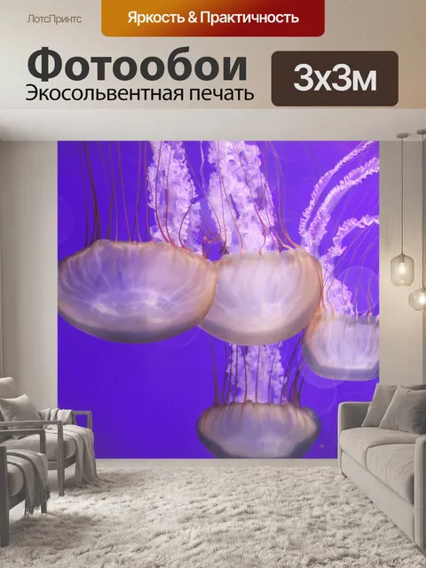 Фотообои Фиолетовый