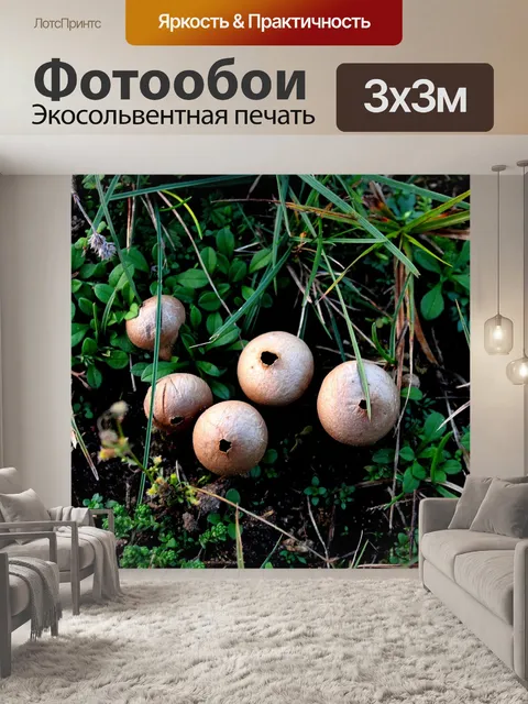Фотообои Природа