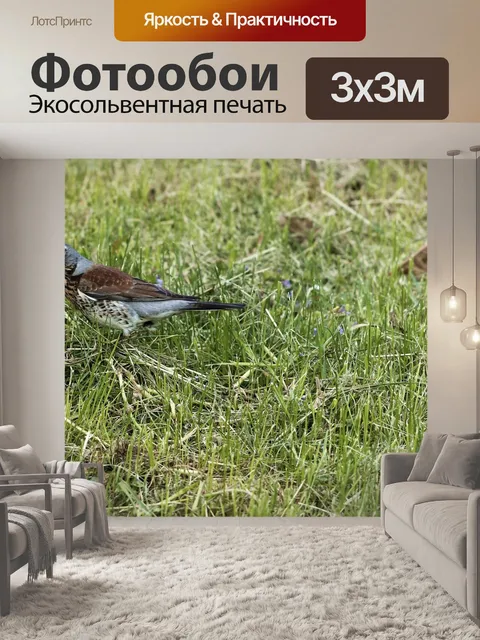 Фотообои Рябинник