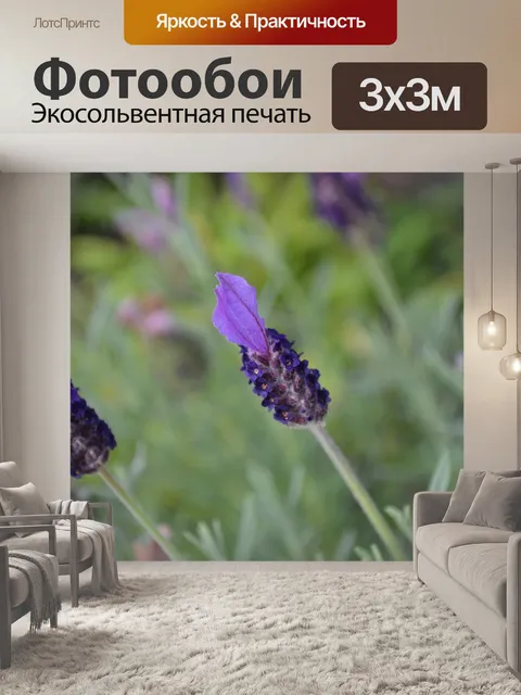 Фотообои Лаванда