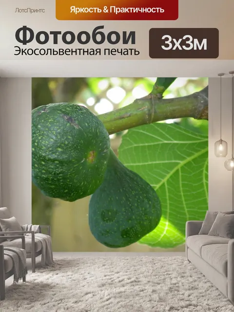 Фотообои плоды инжира