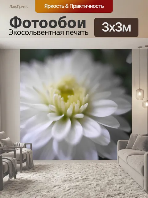 Фотообои Белый цветок