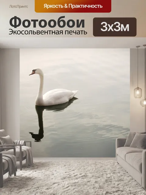 Фотообои Лебедь