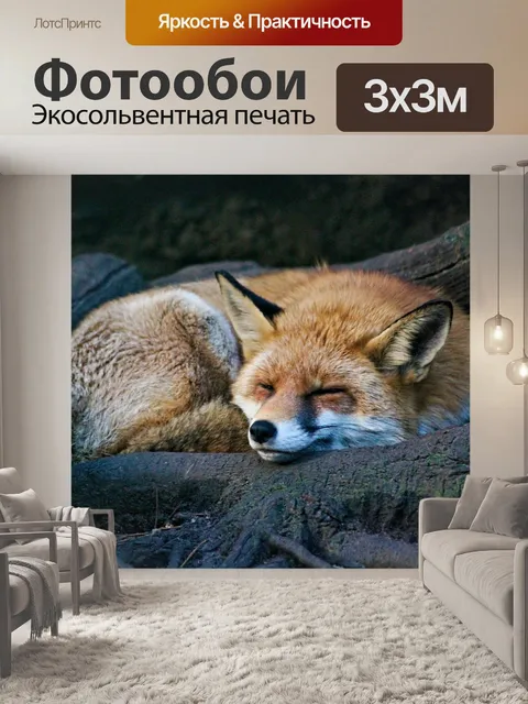Фотообои Лиса