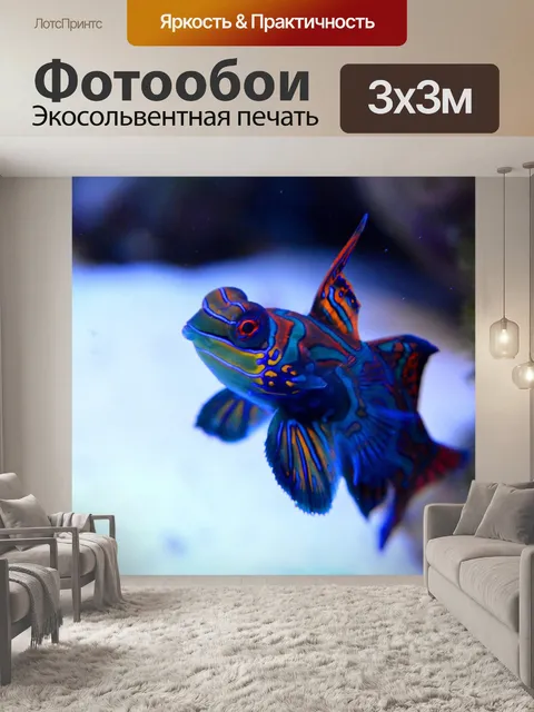 Фотообои Мандарин