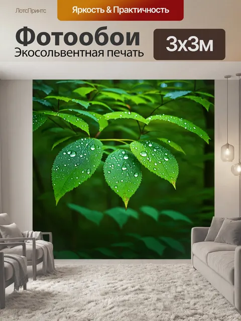Фотообои лес с утренними каплями росы на листьях