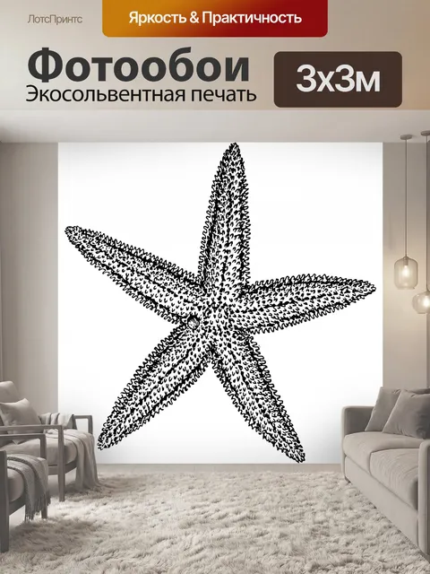 Фотообои Морская звезда иллюстрации Clipart